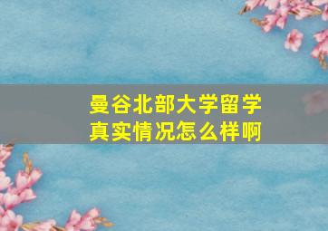 曼谷北部大学留学真实情况怎么样啊