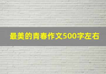 最美的青春作文500字左右