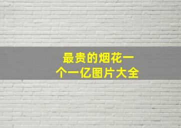 最贵的烟花一个一亿图片大全