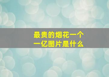 最贵的烟花一个一亿图片是什么