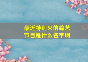 最近特别火的综艺节目是什么名字啊