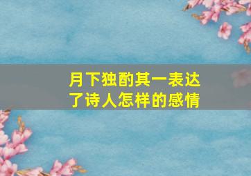 月下独酌其一表达了诗人怎样的感情