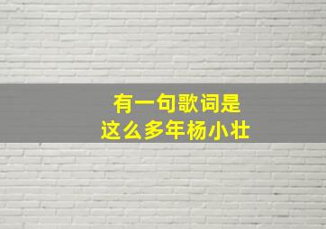 有一句歌词是这么多年杨小壮