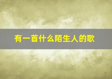 有一首什么陌生人的歌