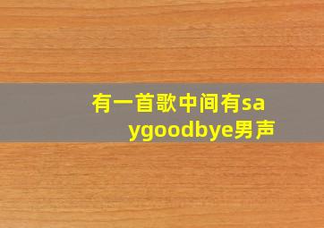 有一首歌中间有saygoodbye男声