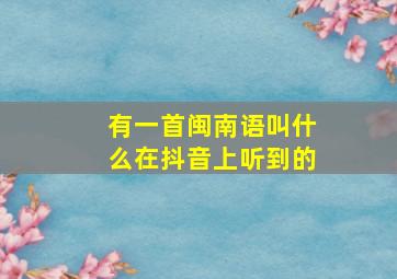 有一首闽南语叫什么在抖音上听到的