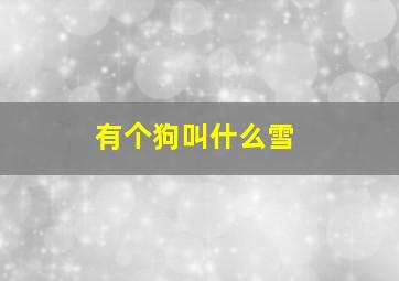 有个狗叫什么雪