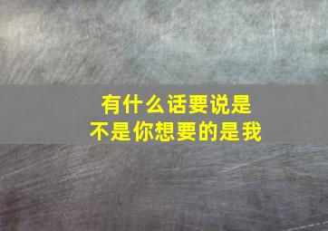 有什么话要说是不是你想要的是我