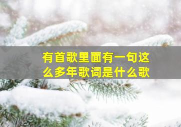 有首歌里面有一句这么多年歌词是什么歌