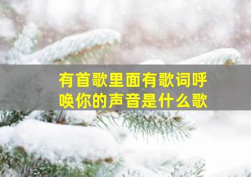 有首歌里面有歌词呼唤你的声音是什么歌