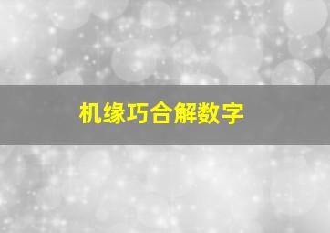 机缘巧合解数字