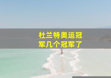 杜兰特奥运冠军几个冠军了