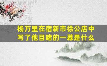 杨万里在宿新市徐公店中写了他目睹的一幕是什么