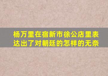 杨万里在宿新市徐公店里表达出了对朝廷的怎样的无奈