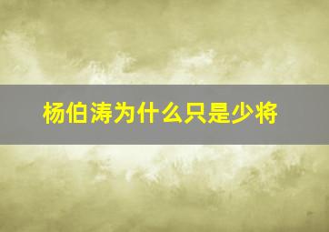 杨伯涛为什么只是少将