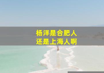 杨洋是合肥人还是上海人啊