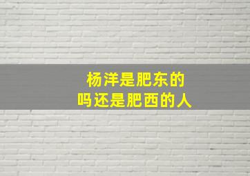 杨洋是肥东的吗还是肥西的人