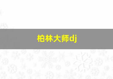 柏林大师dj