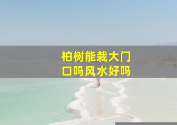 柏树能栽大门口吗风水好吗