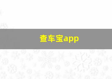 查车宝app