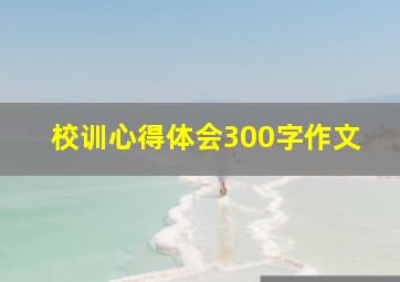 校训心得体会300字作文