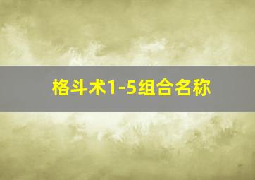 格斗术1-5组合名称