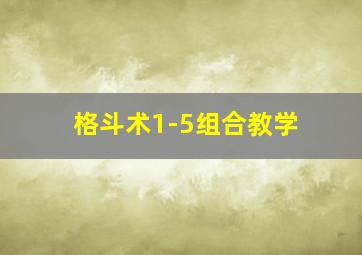 格斗术1-5组合教学