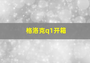 格洛克q1开箱