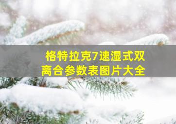 格特拉克7速湿式双离合参数表图片大全