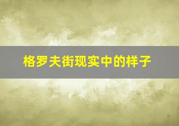 格罗夫街现实中的样子