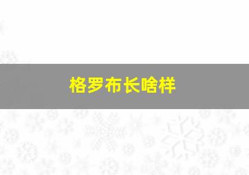 格罗布长啥样