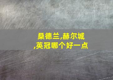 桑德兰,赫尔城,英冠哪个好一点