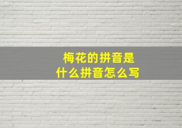 梅花的拼音是什么拼音怎么写