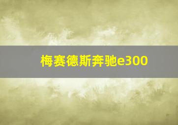 梅赛德斯奔驰e300