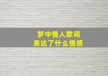 梦中情人歌词表达了什么情感