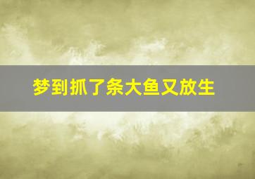 梦到抓了条大鱼又放生