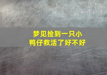 梦见捡到一只小鸭仔救活了好不好