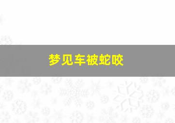 梦见车被蛇咬