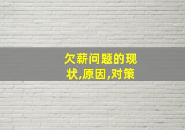 欠薪问题的现状,原因,对策