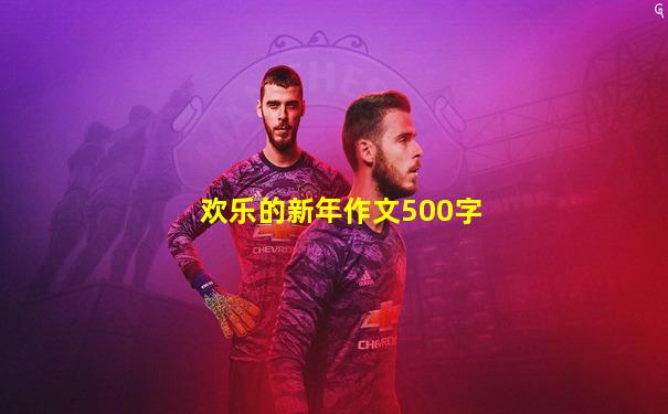 欢乐的新年作文500字