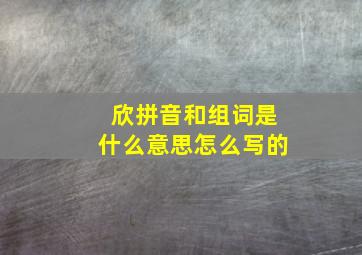 欣拼音和组词是什么意思怎么写的