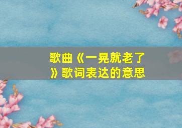 歌曲《一晃就老了》歌词表达的意思