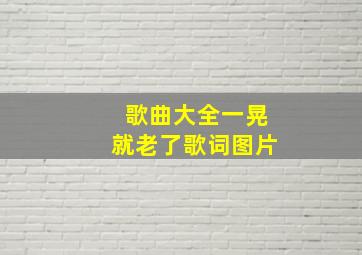 歌曲大全一晃就老了歌词图片