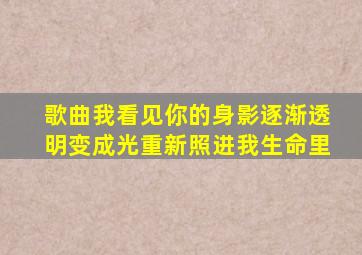 歌曲我看见你的身影逐渐透明变成光重新照进我生命里