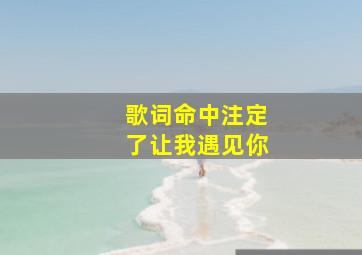 歌词命中注定了让我遇见你