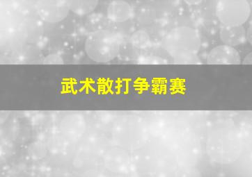 武术散打争霸赛