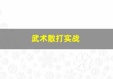 武术散打实战