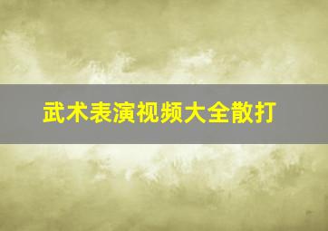 武术表演视频大全散打