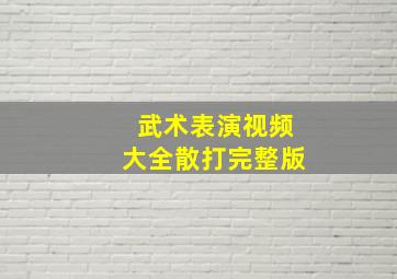 武术表演视频大全散打完整版