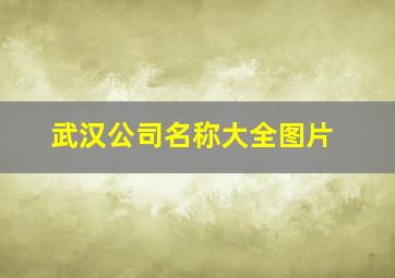 武汉公司名称大全图片